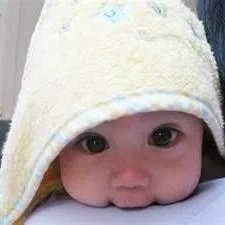 Chandni