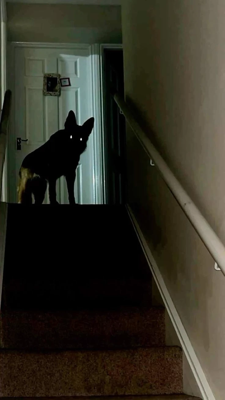 Jack (Horror) thumbnail