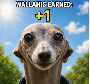 Massive Streamer House thumbnail