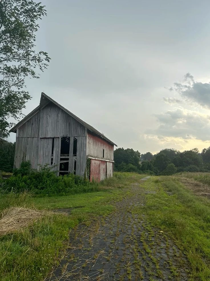 abandoned field thumbnail