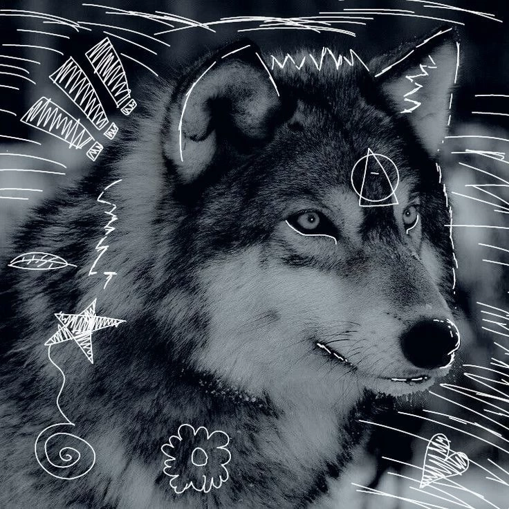 ✿𝑨𝒖𝒓𝒐𝒓𝒂✿