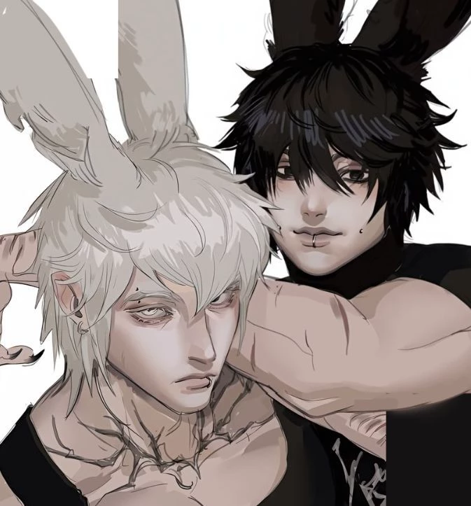 Roman 🐰 Rowan : rabbits thumbnail
