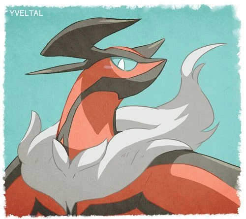 Yveltal thumbnail
