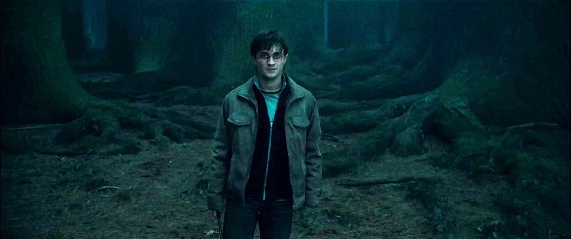 Harry Potter und die Heiligtümer des Todes  thumbnail