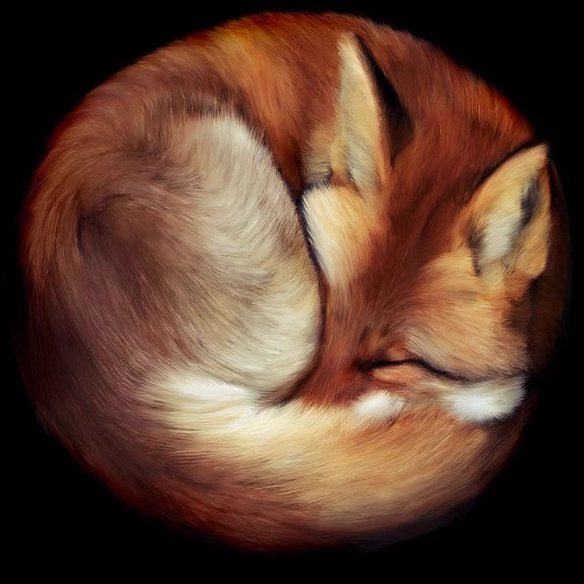 𝒢ᥲᑲіᥒᥱ𝗍𝗍᥆ 𝔏ᥙᥒᥱrᥲs 🌙