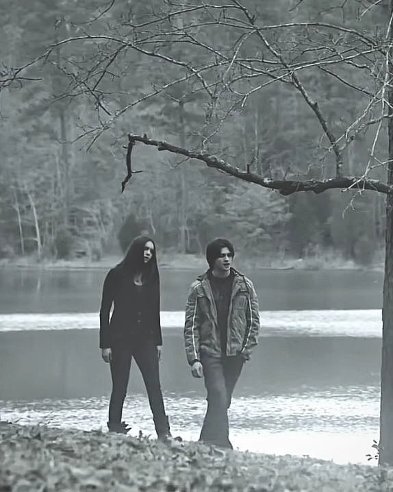 Tvd × Twilight. thumbnail