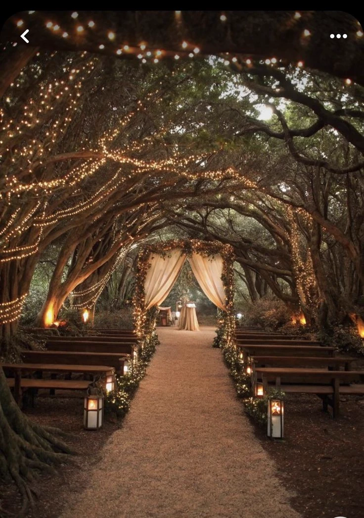 Ruined wedding day thumbnail