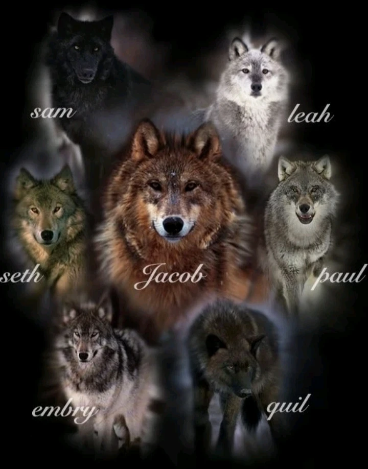 Twilight – Jacob Black thumbnail