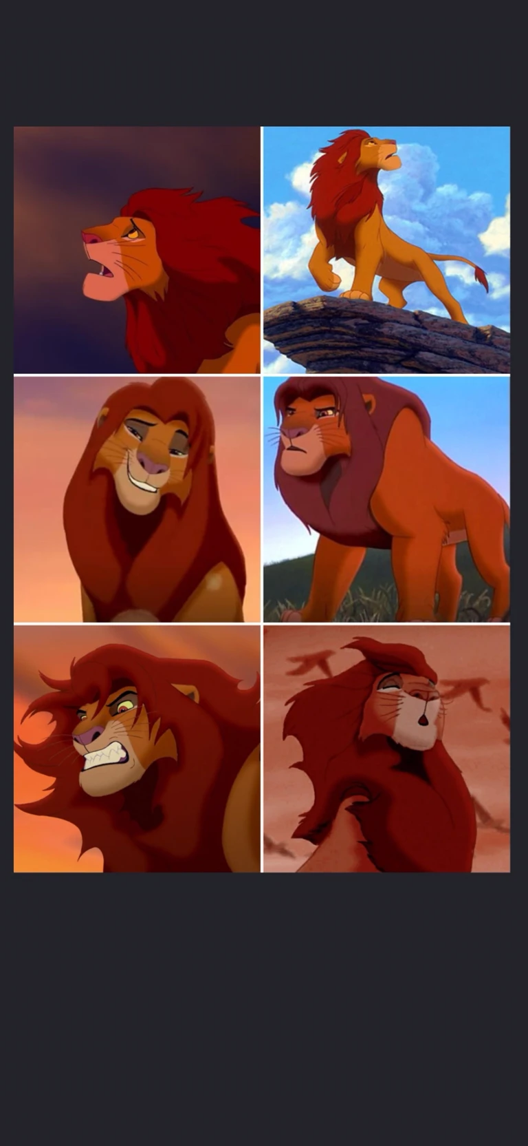 Simba thumbnail