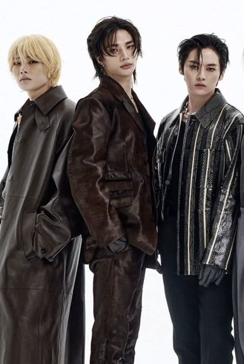 Hyunjin, Minho e Jeongin (você) BL/ÔMEGAVERSE  thumbnail
