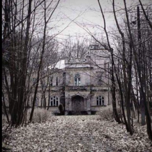 The slender mansion thumbnail