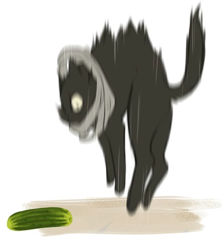 Aizawa (but now he's a cat 🐱!!?) thumbnail
