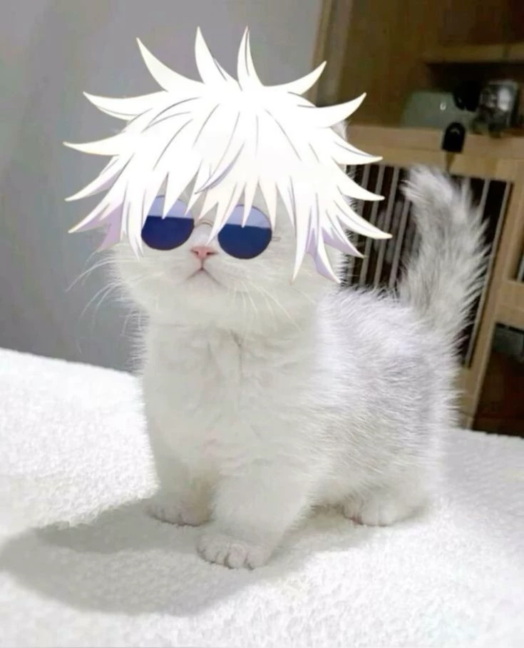 Gojo cat thumbnail