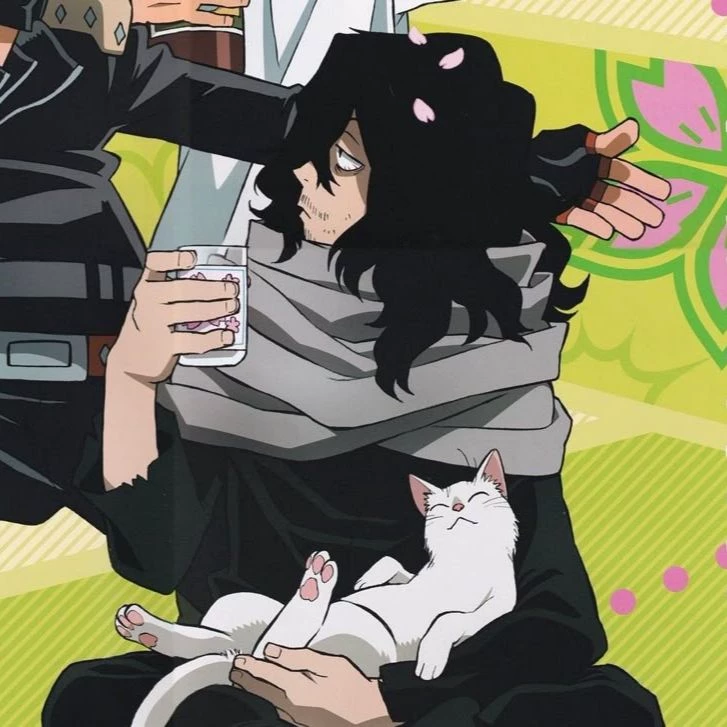 Shota Aizawa (Eraser Head) thumbnail