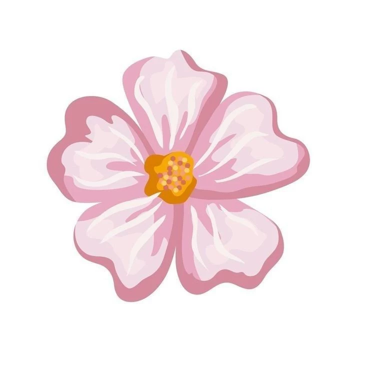 Aster