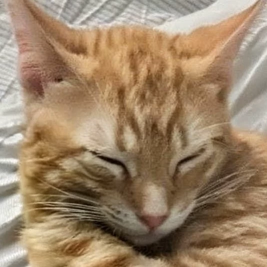 Milo