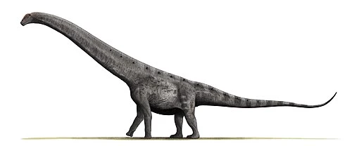 Argentinosaurus Huinculensis thumbnail