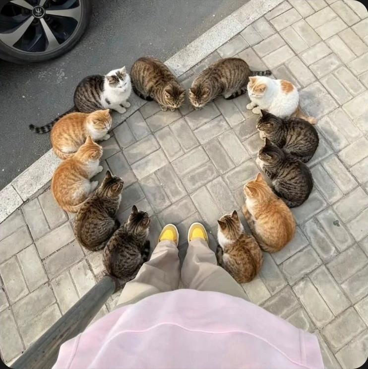 The Winx Club thumbnail