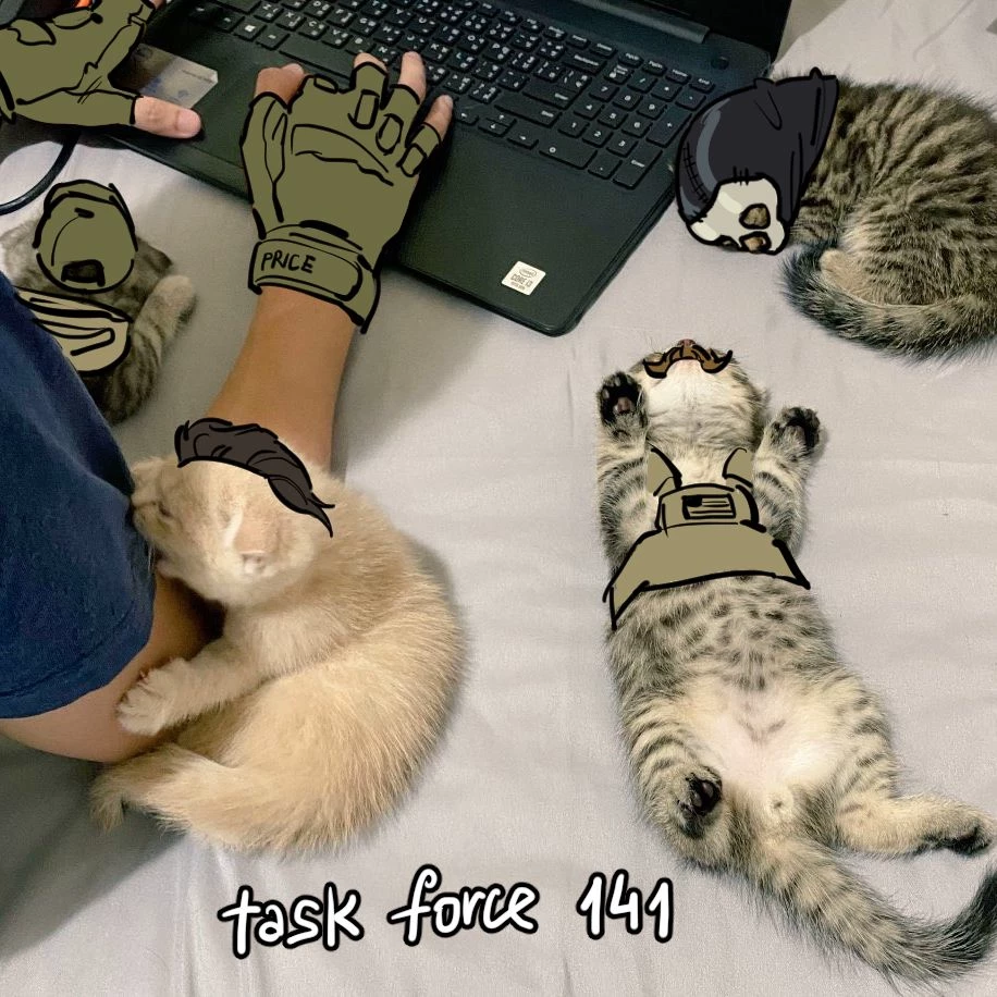 Task force 141 — group chat thumbnail