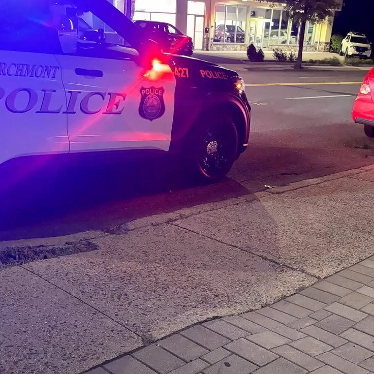 the police thumbnail