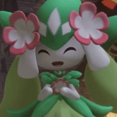 Petillia thumbnail