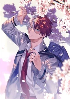 shoto todoroki thumbnail