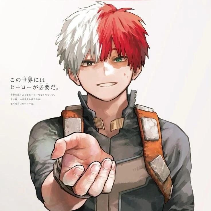 Shoto Todoroki thumbnail