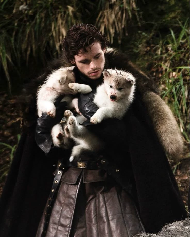 Robb stark\_arranged marrige thumbnail