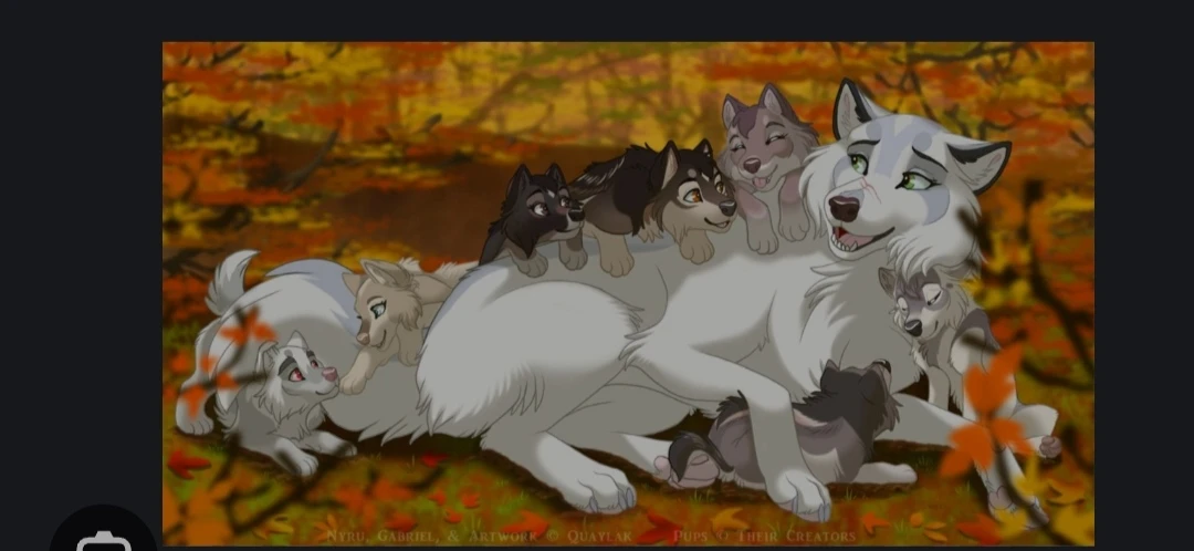 A single wolf with seven cubs. thumbnail
