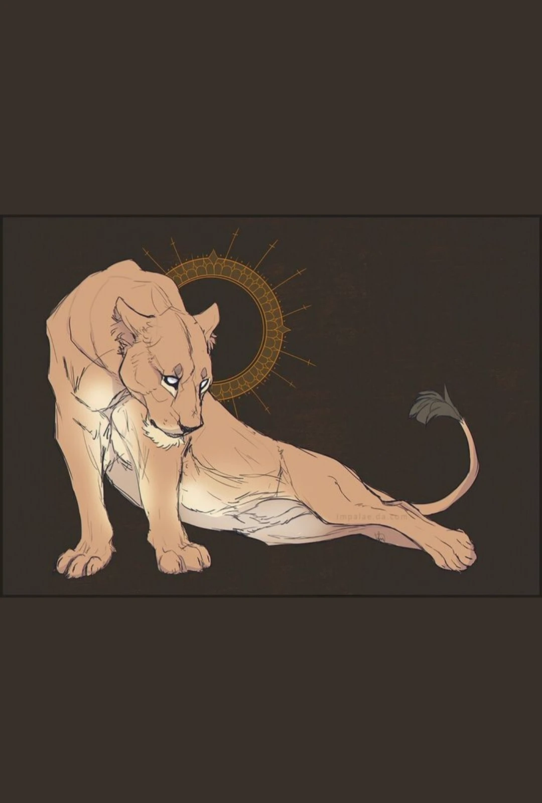 The lost lion cub and you, a lone lioness. thumbnail