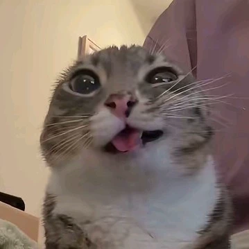 Nixshei emby