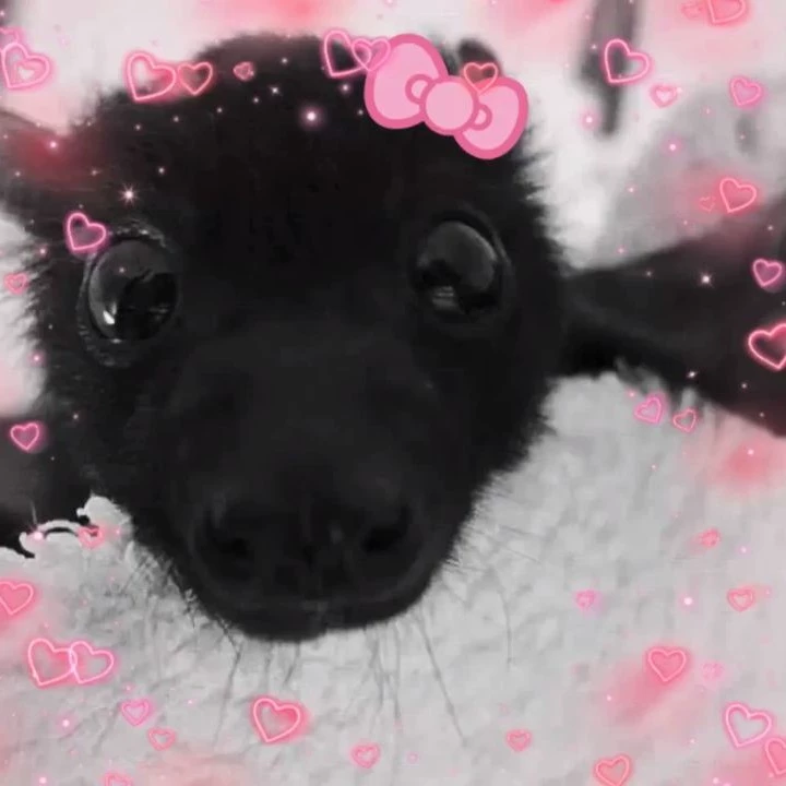Muith(⁠´⁠ε⁠｀⁠ ⁠)