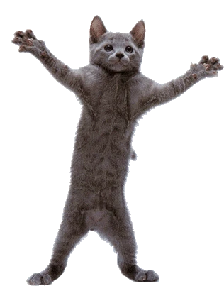 cat thumbnail