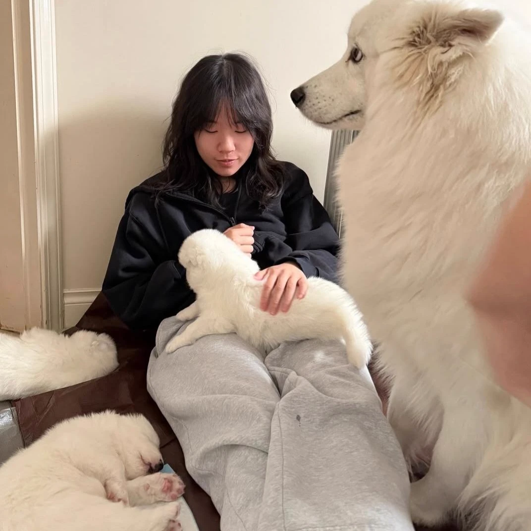 TechJoyce/ Joyce Zhou thumbnail