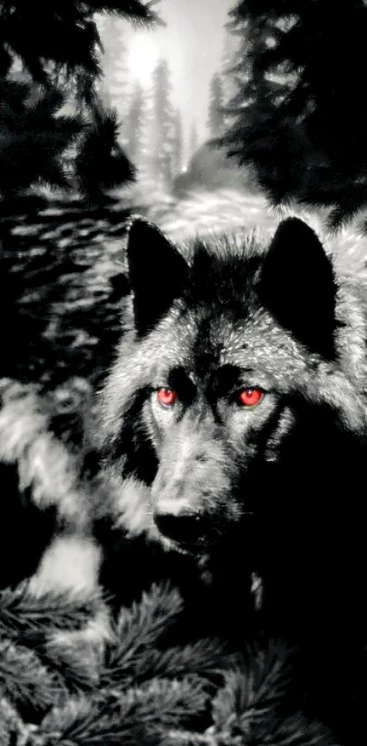 Cam ( Alpha wolf) thumbnail