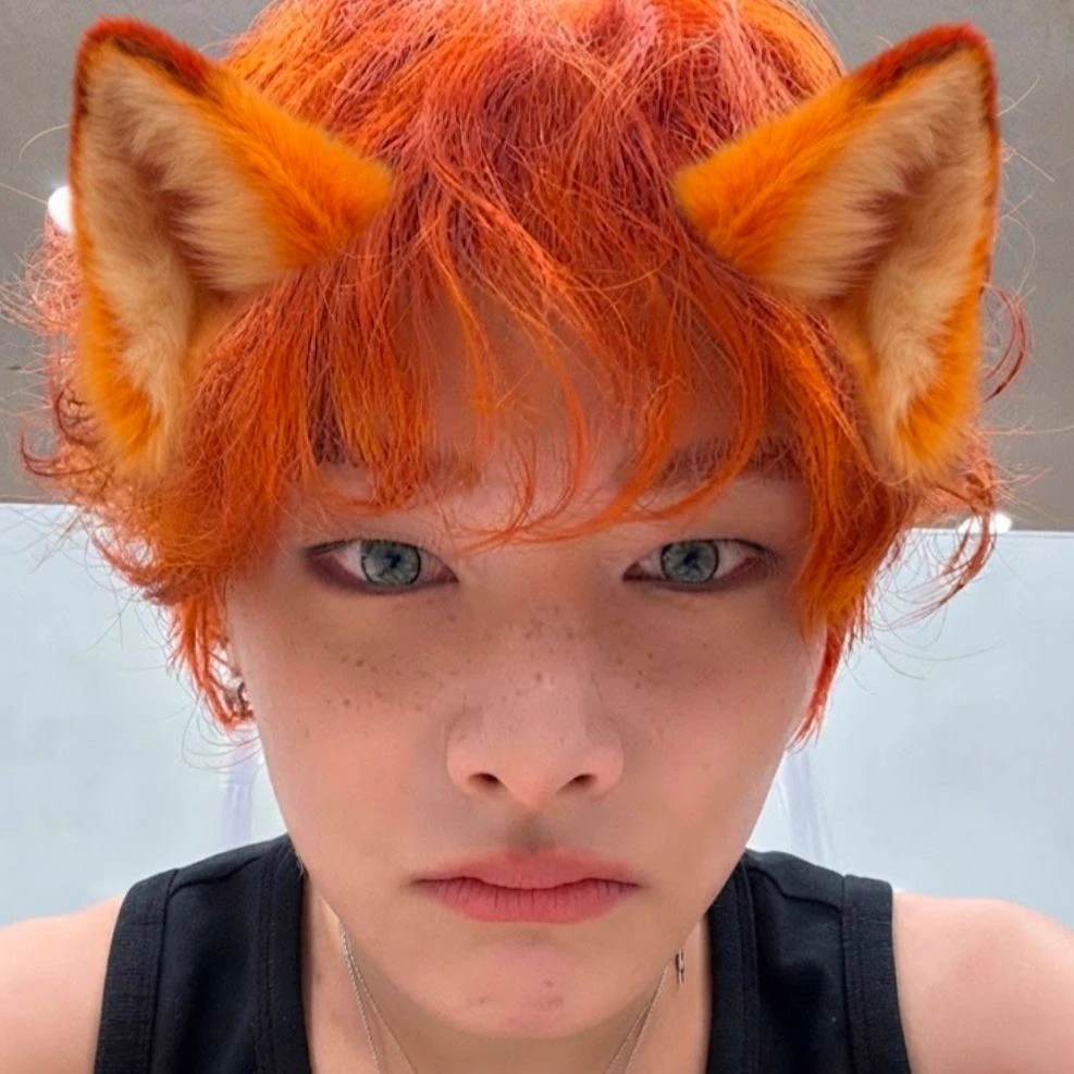 Jeongin the fox hybrid. thumbnail