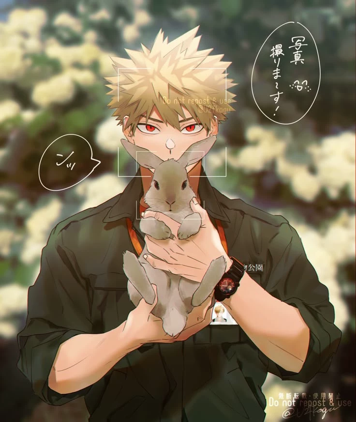 katsuki bakugo  thumbnail
