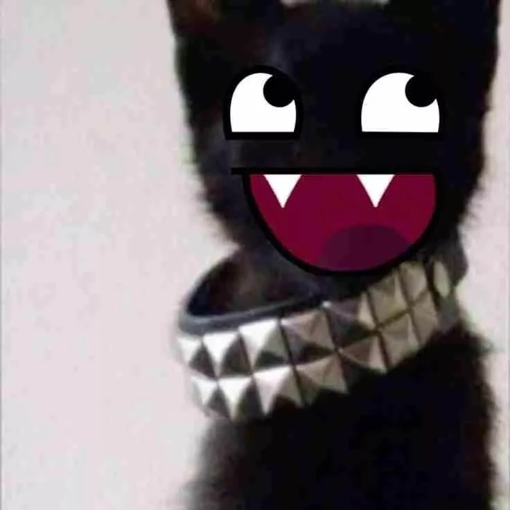 :pp