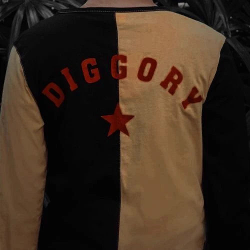 Cedric Diggory thumbnail