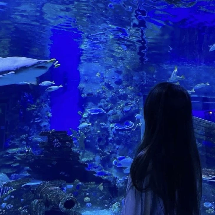 𝐍𝐀𝐅𝐔𝐔!?🌊