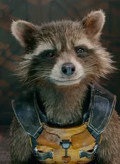 Rocket Raccoon thumbnail