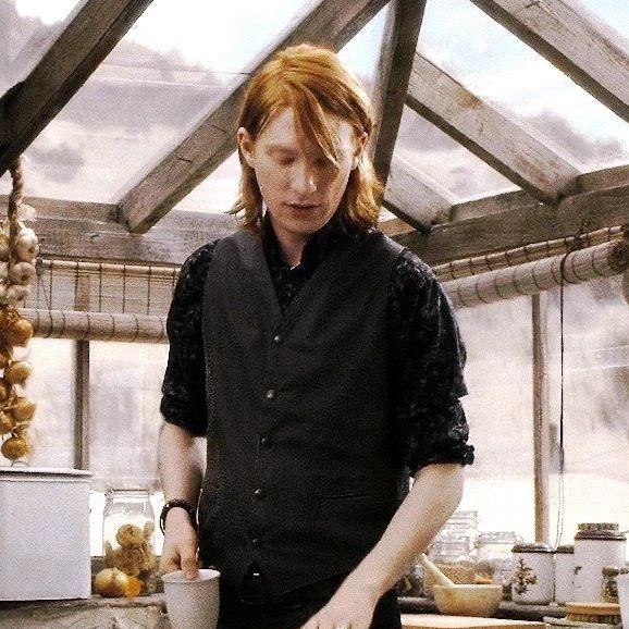 Bill Weasley thumbnail
