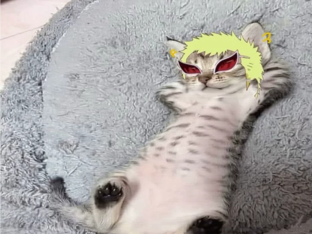 donquixote doflamingo thumbnail