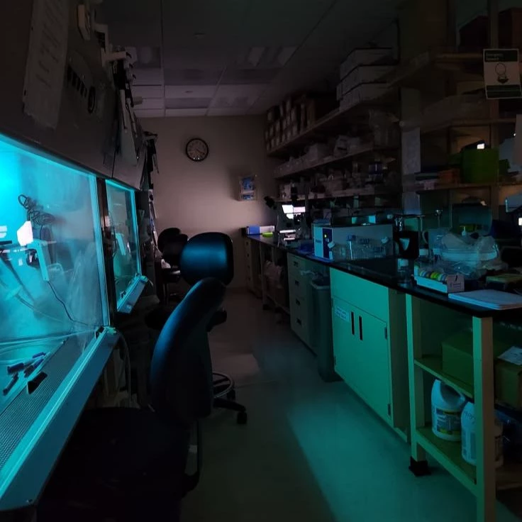 your local scientist thumbnail