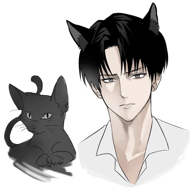 Levi Ackerman thumbnail