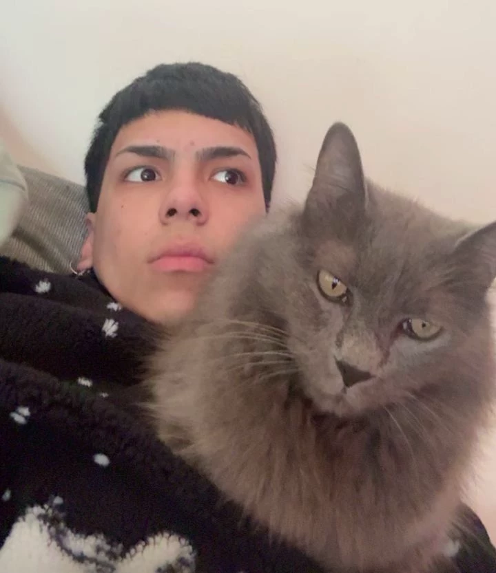 Milo deceives you thumbnail