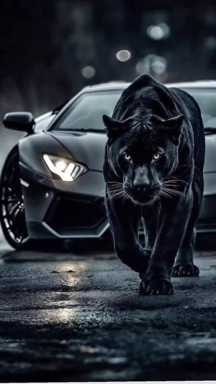 THE PANTHER KING thumbnail