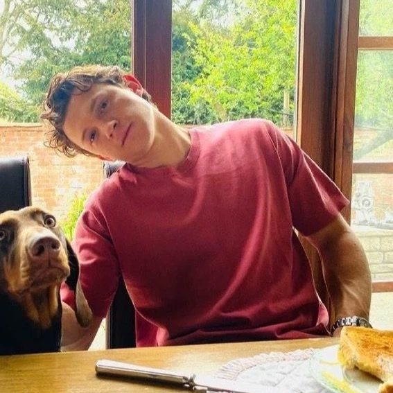 Tom Holland thumbnail