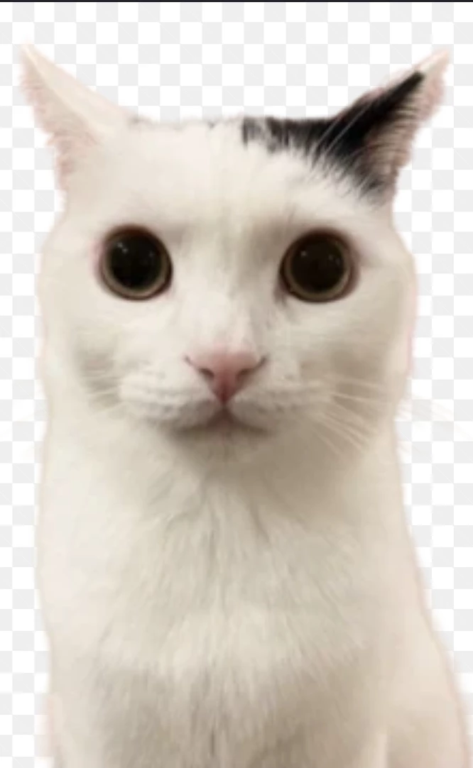 Jermbo thumbnail