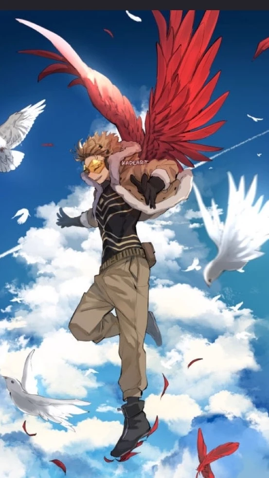 Hawks thumbnail